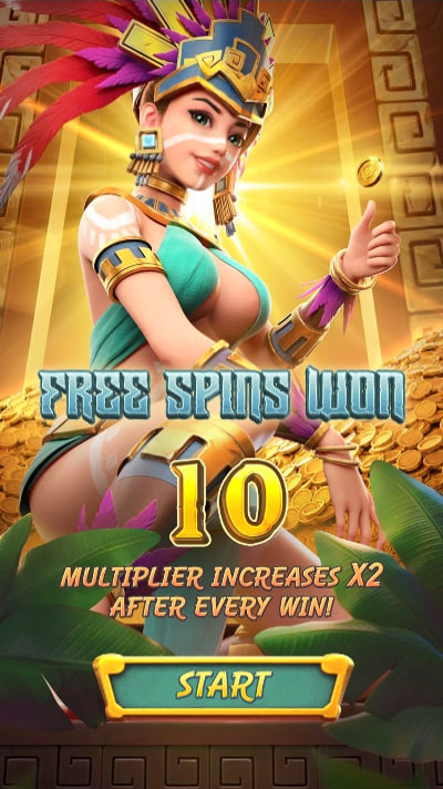 Betboom saque