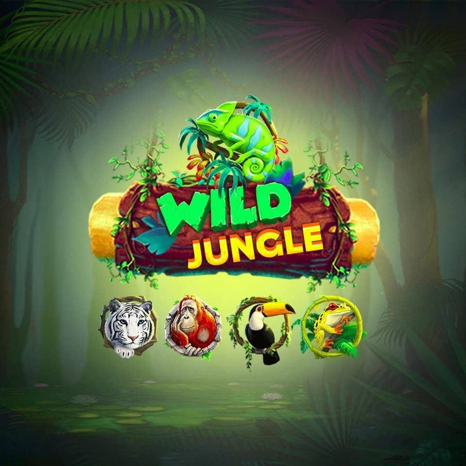 code promo melbet