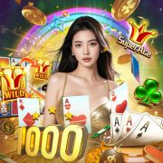 Betboom dacha belgrade