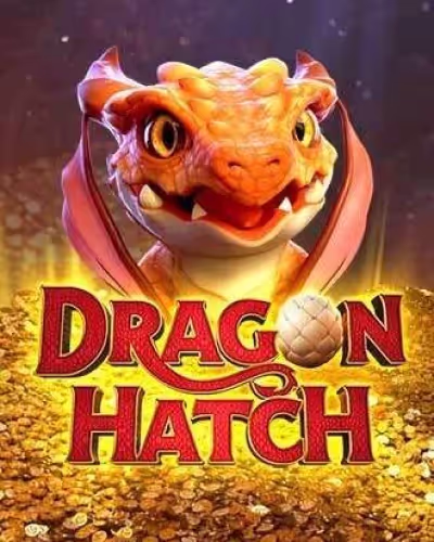 Livebet com